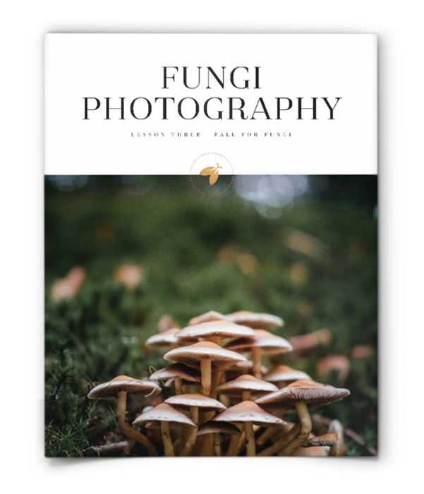 FireFly Nature School - Fall for Fungi - Lesson - Fungi Photography