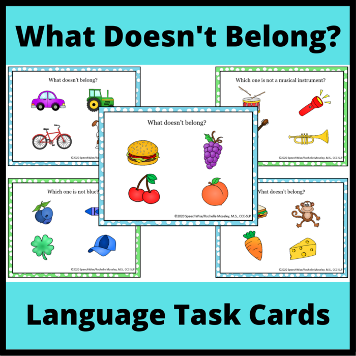 What Doesn't Belong Task Cards for Categorization and Exclusion