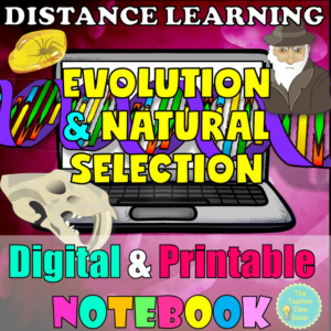 evolution & natural selection biology digital curriculum