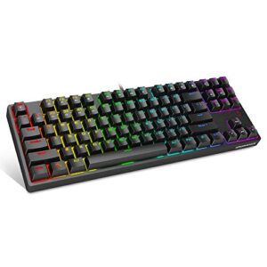 1st player tkl rgb gaming mechanical usb wired keyboard dk5.0 lite with cherry mx blue switches equivalent, compact 87 keys tenkeyless led rgb backlit computer laptop keyboard for windows pc gamers