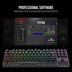 1ST PLAYER TKL RGB Gaming Mechanical USB Wired Keyboard DK5.0 LITE with Cherry MX Blue Switches Equivalent, Compact 87 Keys Tenkeyless LED RGB Backlit Computer Laptop Keyboard for Windows PC Gamers