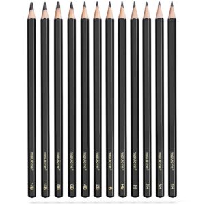 MISULOVE Professional Drawing Sketching Pencil Set - 12 Pieces Art Drawing Graphite Pencils(12B - 4H), Ideal for Drawing Art, Sketching, Shading, for Beginners & Pro Artists