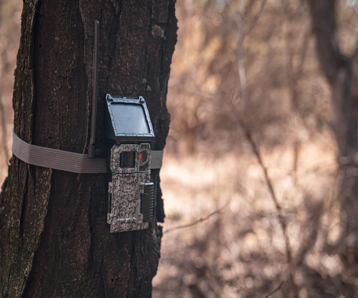 SPYPOINT Link-Micro-LTE-V Cellular Trail Camera-4 LED Infrared Flash with 80'f Detection and Motion Sensor, LTECapable Cellular Game Camera 10MP 0.5sec Trigger Speed, Cell Cameras for Hunting (VZN)