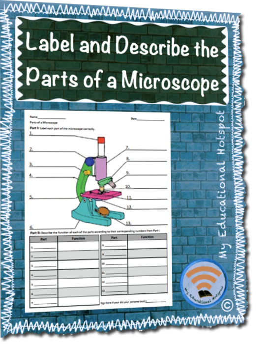 Parts of a Microscope - Label and Describe Worksheet Activity