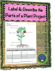 parts of a plant - label and describe project