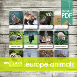 europe animals • montessori cards • flash cards • three part cards