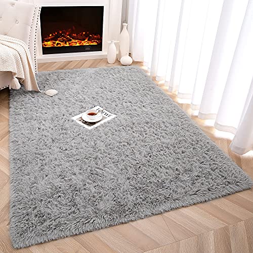 Foxmas Soft Fluffy Area Rugs for Bedroom Kids Room Plush Shaggy Nursery Rug Furry Throw Carpets for Boys Girls, College Dorm Fuzzy Rugs Living Room Home Decorate Rug, 4ft x 6ft, Grey