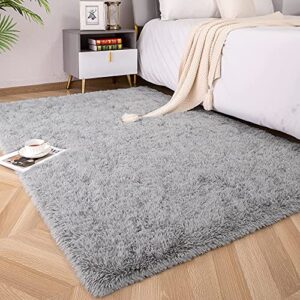 Foxmas Soft Fluffy Area Rugs for Bedroom Kids Room Plush Shaggy Nursery Rug Furry Throw Carpets for Boys Girls, College Dorm Fuzzy Rugs Living Room Home Decorate Rug, 4ft x 6ft, Grey