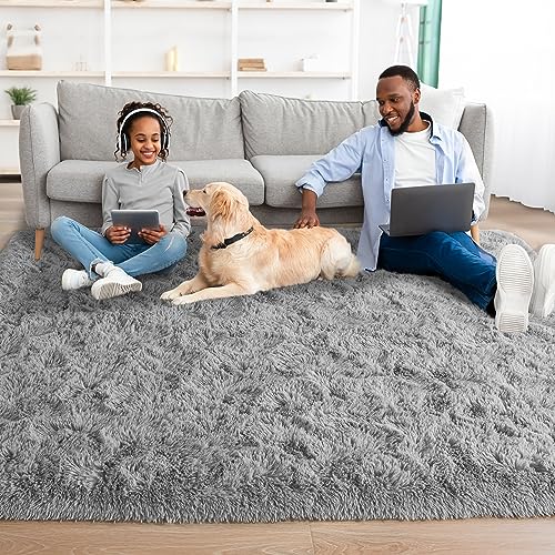 Foxmas Soft Fluffy Area Rugs for Bedroom Kids Room Plush Shaggy Nursery Rug Furry Throw Carpets for Boys Girls, College Dorm Fuzzy Rugs Living Room Home Decorate Rug, 4ft x 6ft, Grey