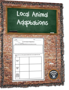 local animal adaptations