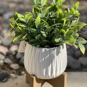 Flora Bunda Artificial Plant Tea Leaf in 5 in Ridge Ceramic Pot on Wood Stand,Matte White