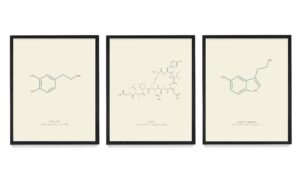 - peace love & happiness molecule poster print - scientific wall art - house home décor - dopamine oxytocin serotonin - set of 3 8x10 unframed art prints