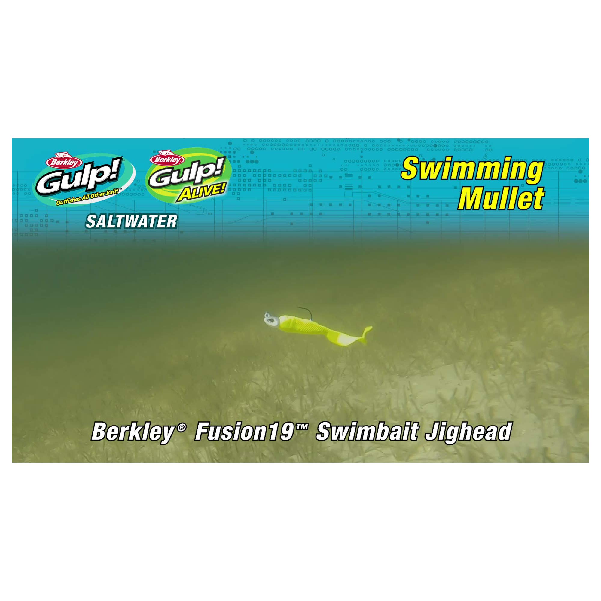 Berkley Gulp! Alive! Swimming Mullet Soft Fishing Bait, Pearl White/Chartreuse, 3in - Pint 4x7