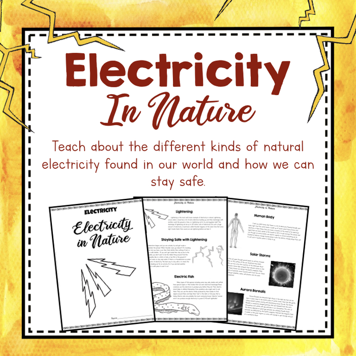 Electricity Unit Study: Electricity in Nature - Teach About the Different Kind of Natural Electricity Found in Our World and How We Can Stay Safe