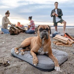 YETI Trailhead Two-in-One Dog Bed