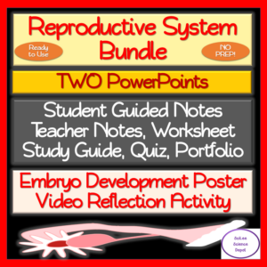 reproductive system no prep bundle: 2 powerpoint, notes, activity, assessment