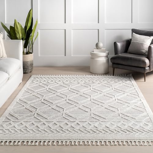 nuLOOM 4x6 Ansley Moroccan Tassel Area Rug, Light Grey, High-Low Textured Bohemian Design, Plush High Pile, Stain Resistant, For Bedroom, Living Room, Hallway, Entryway