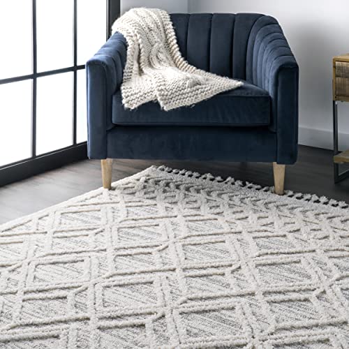 nuLOOM 4x6 Ansley Moroccan Tassel Area Rug, Light Grey, High-Low Textured Bohemian Design, Plush High Pile, Stain Resistant, For Bedroom, Living Room, Hallway, Entryway