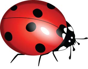 Urinal Fly Toilet Stickers, 12 Pack, Bee Fire Ladybug Target, 80% Cleaner Bathrooms in Minutes!