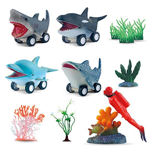 DINOBROS Sea Animal Pull Back Toy Cars Playset Ocean Game Set of 12Pcs Great White Shark Dolphin Killer Whale Toys for Boys and Toddlers 3 Year Olds and Up