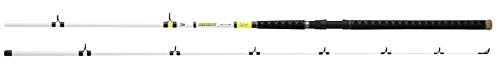 Daiwa Beef Kitty Catfish Spinning Rod 12' 2pc 17-40#