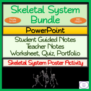 skeletal system no prep bundle: powerpoint, guided notes, activity, assessment