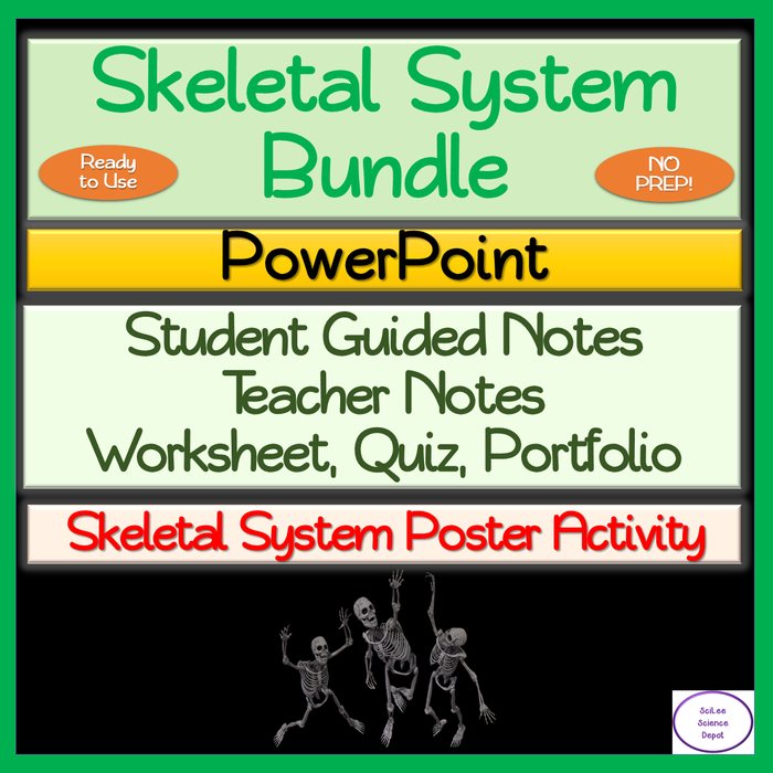 Skeletal System NO PREP Bundle: PowerPoint, Guided Notes, Activity, Assessment