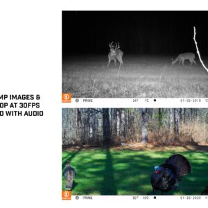 Bushnell Prime Low Glow Trail Camera - 24MP Image Quality, 1080p HD Video, Advanced Sensor Technology for Clear Nighttime Captures, Brown