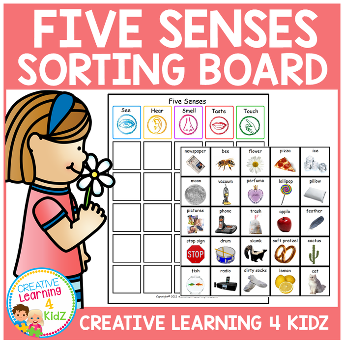 Five Senses Sorting Boards