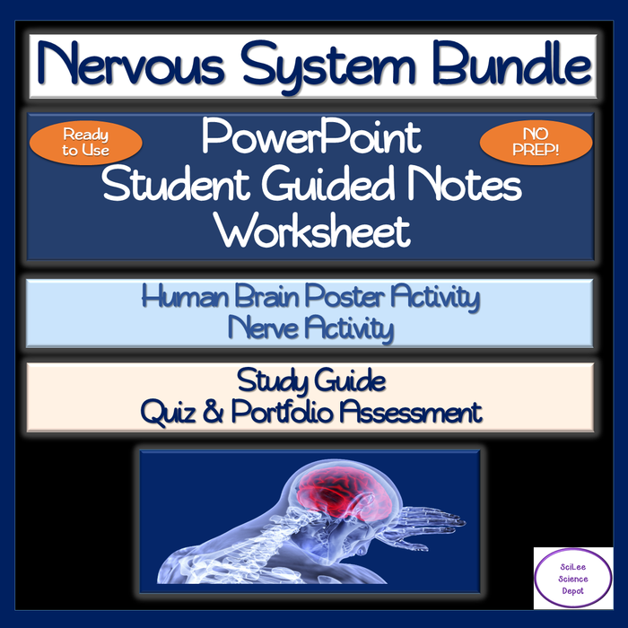 Nervous System Unit Bundle: PowerPoint, illustrated Student Guided Notes, Teacher Notes, Worksheet W/Answers, 2 Activities, Study Guide, Quiz and Portfolio Assessment