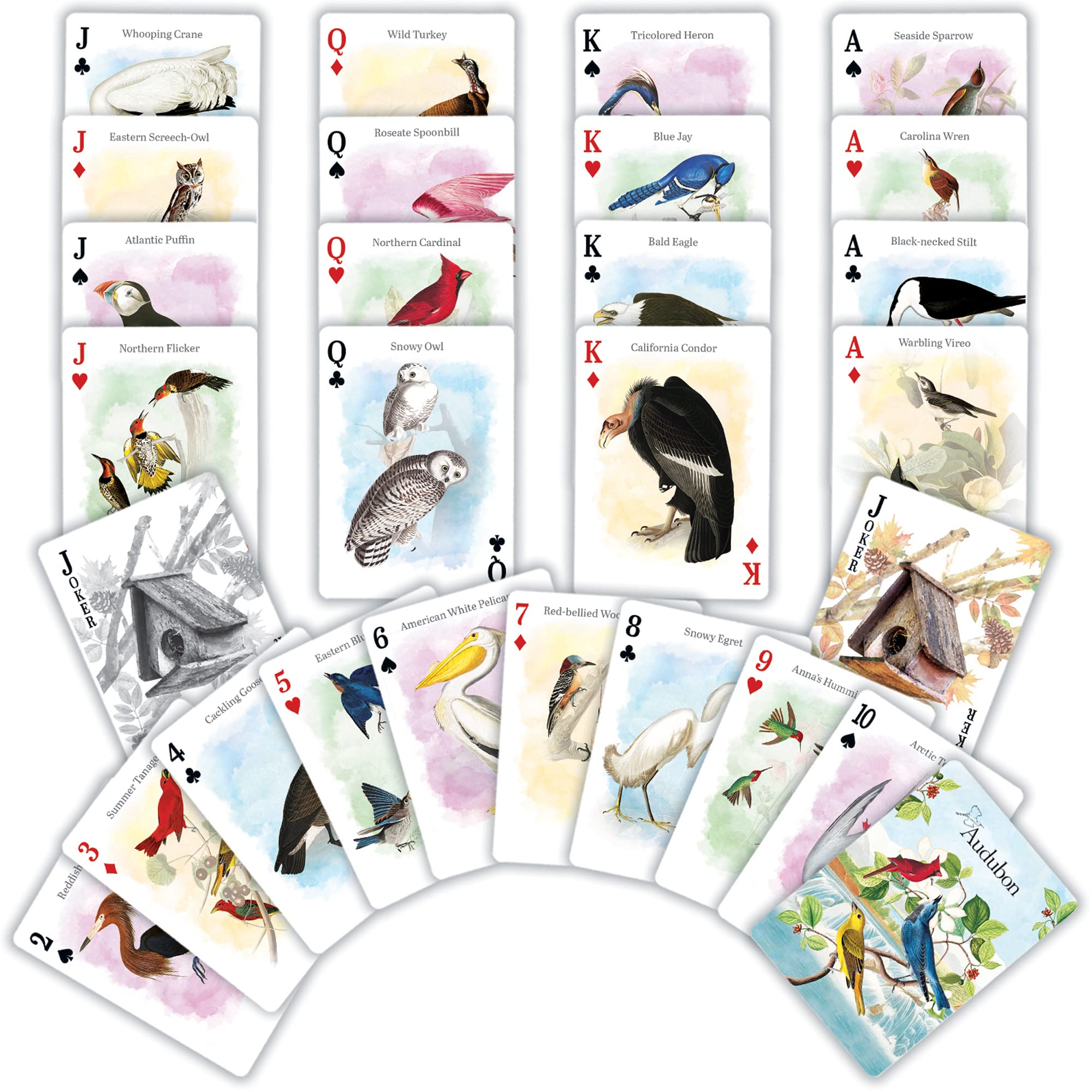 MasterPieces Officially Licensed Audubon Playing Cards - 54 Card Deck for Adults