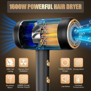 Professional Ionic Salon Hair Dryer, Powerful 1800W Blow Dryer, Negative Ion Technolog, 2 Speed, 3 Cool Settings, 2 Concentrator Nozzles and 1 Diffuser, for Home, Travel, Salon and Hotel