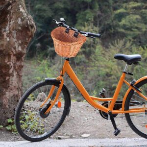 ONEVER Handlebar Bike Basket, Wicker Kids Bicycle Basket, Bike Accessory with Leather Straps, Hand-Woven Small Beach Cruiser Bike Basket for Girls Kids Small Cat Dog Basket, Knee Scooter Basket