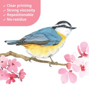 DECOWALL DS-8039 Cherry Blossom & Garden Birds Kids Wall Stickers Wall Decals Peel and Stick Removable Wall Stickers for Kids Nursery Bedroom Living Room (Small) d?cor