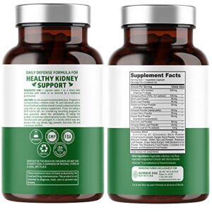 N1N Premium Kidney Cleanse [21 Potent Herbs] for Urinary Tract & Bladder Control, Natural Kidney Support with Cranberry Extract, Astragalus and Uva Ursi Leaf, 60 Veg Caps