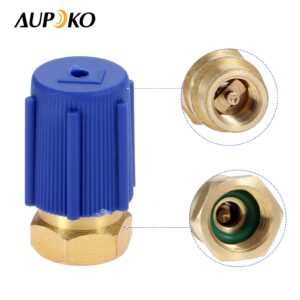 Aupoko A/C Retrofit Valve Kit, Retrofit Valve with Dust Cap Convert, BPV31 Bullet Piercing Tap Valve Line Tap Valve Kit, Fits for HVAC Refrigerant System R12 R22 R502 R134A