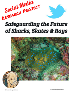 safeguarding the future of sharks, skates & rays - shark conservation social media engaging lesson plan research project