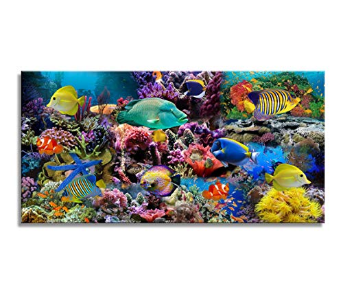 D72674 Great Barrier Reef Colorful Coral and Fish Large Wall Decor Canvas Wall Art Artwork Painting Ocean Decor for Living Room Bedroom Bathroom Decoration