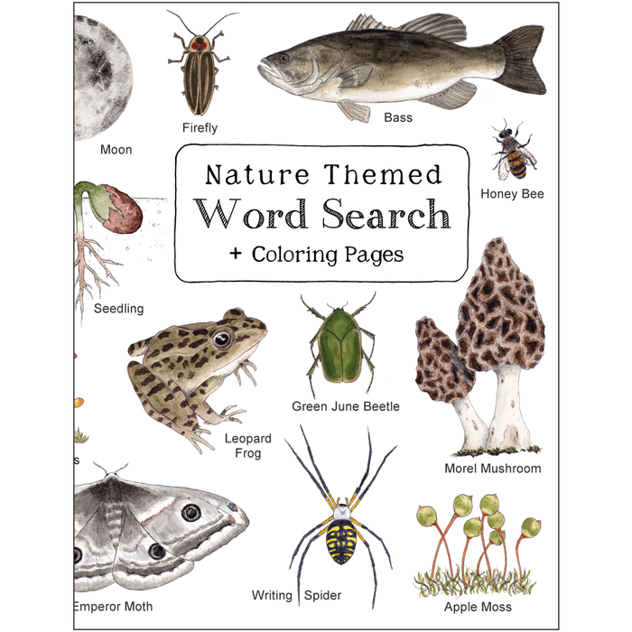 Nature Themed Word Search Book with Coloring Pages