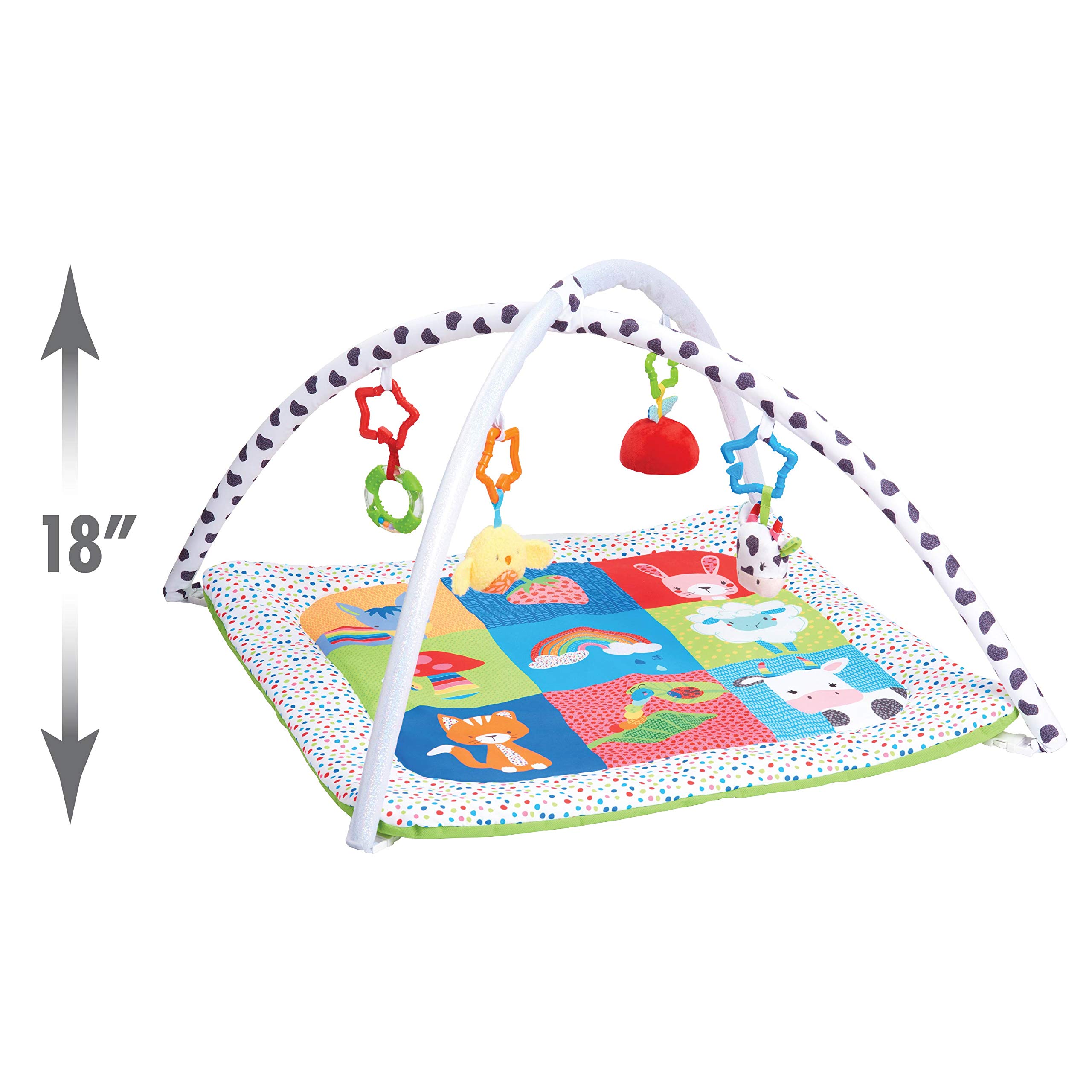 Early Learning Centre Blossom Farm Playmat & Arch, Physical Development, Hand Eye Coordination, Stimulates Senses