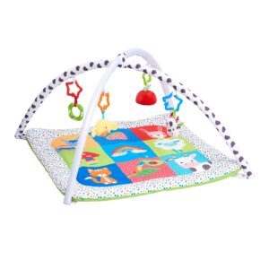 Early Learning Centre Blossom Farm Playmat & Arch, Physical Development, Hand Eye Coordination, Stimulates Senses