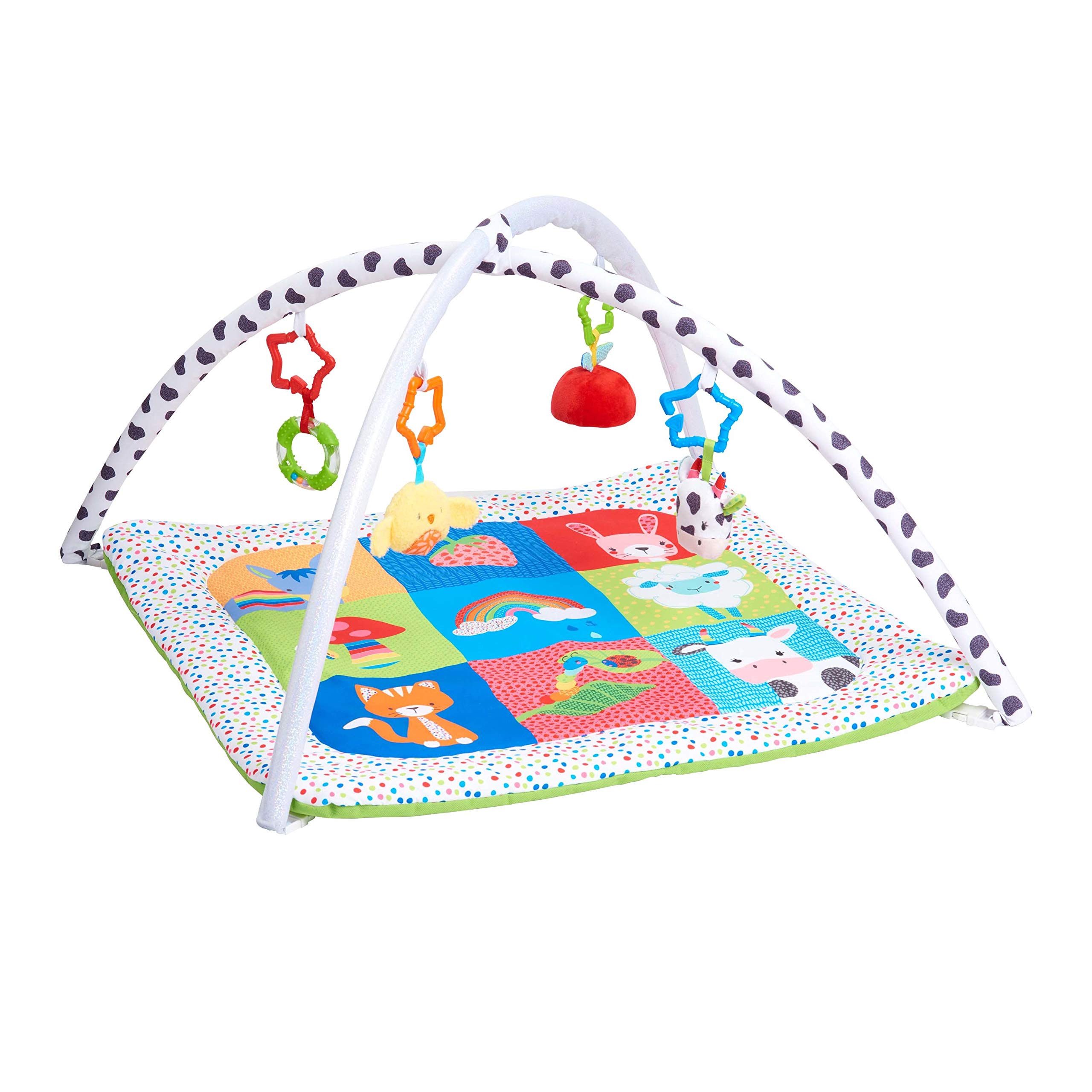 Early Learning Centre Blossom Farm Playmat & Arch, Physical Development, Hand Eye Coordination, Stimulates Senses