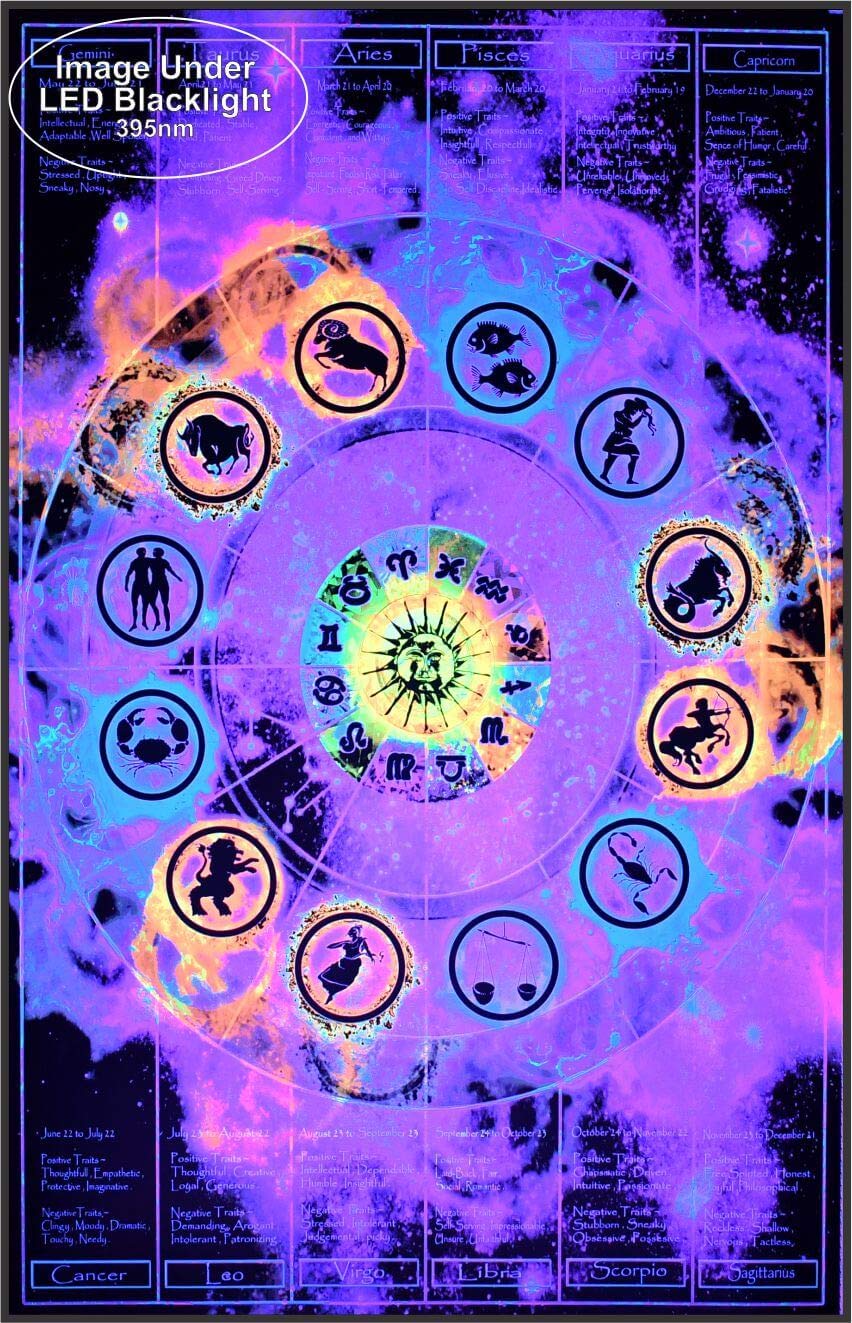 Studio B Zodiac Chart NonFlocked Blacklight Cool Wall Decor Art Print Poster 24x36