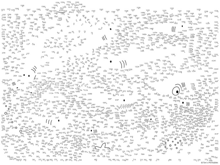 Shark Extreme Dot-to-Dot / Connect the Dots PDF