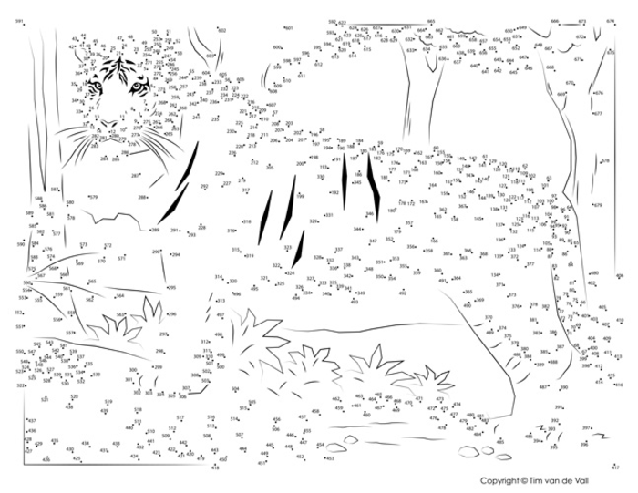 Tiger Extreme Dot-to-Dot / Connect the Dots PDF