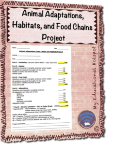 animal adaptations food chains and habitats project