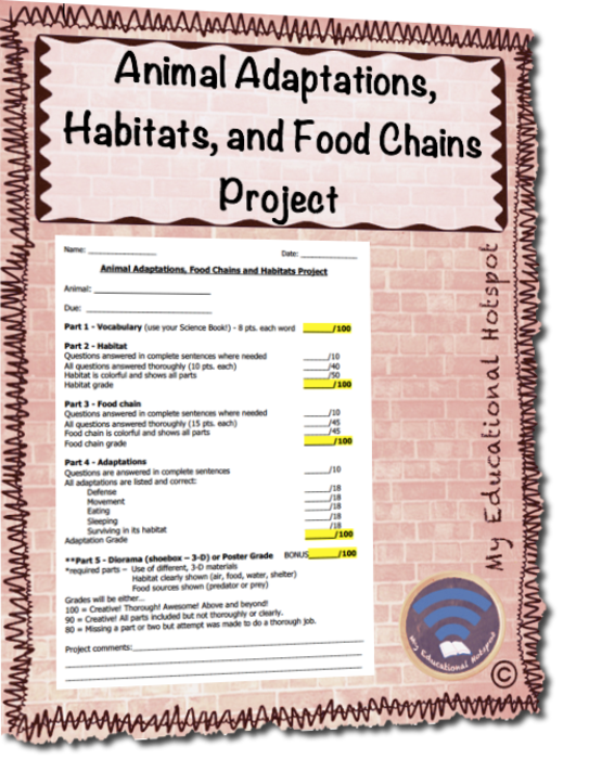 Animal Adaptations Food Chains and Habitats Project