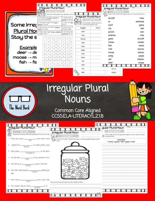 Irregular Plural Nouns