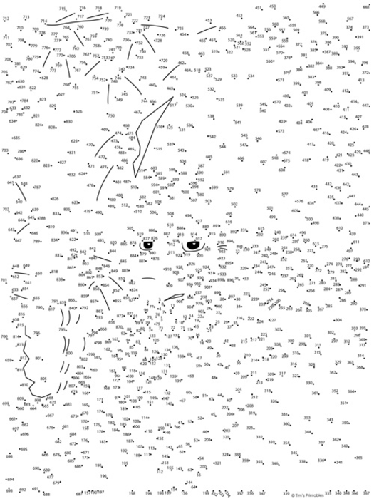 Wizard Extreme Dot-to-Dot / Connect the Dots PDF