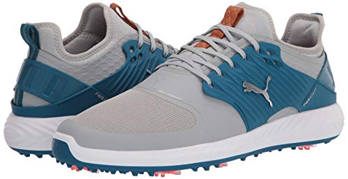 Puma Men's Ignite Pwradapt Caged Golf Shoe, High Rise-Puma Silver-Digi-Blue, 11.5